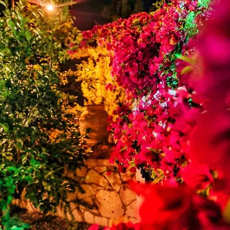 Отель Sari Gelin 2*