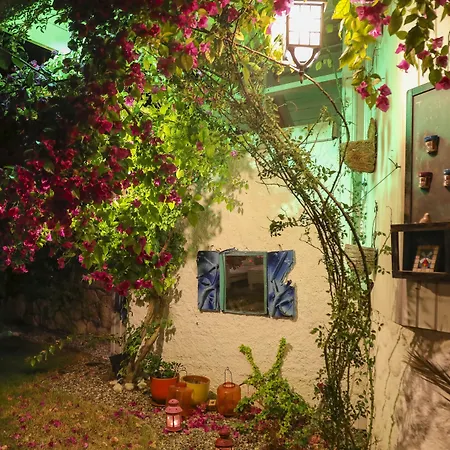 Отель Sari Gelin