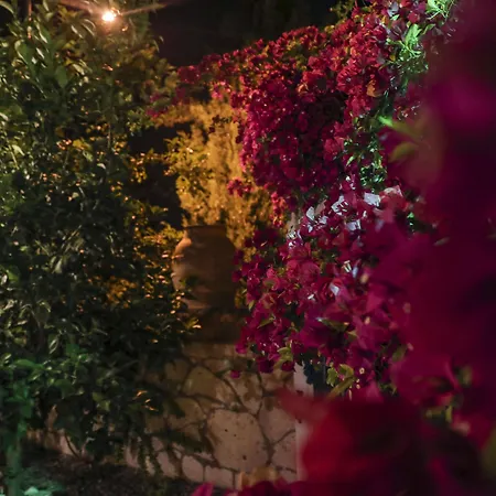 Sari Gelin Отель 2*