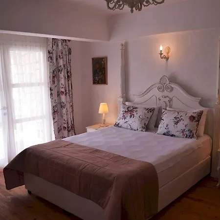 Sari Gelin 2*